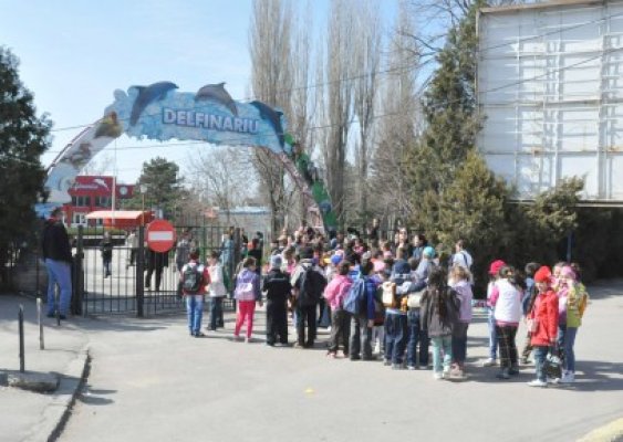 Abonamente pe tot anul la Delfinariu, pentru constănţeni